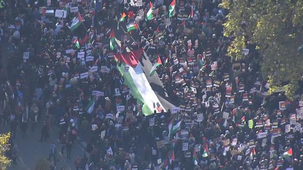 Pro-Palestinian protest in London