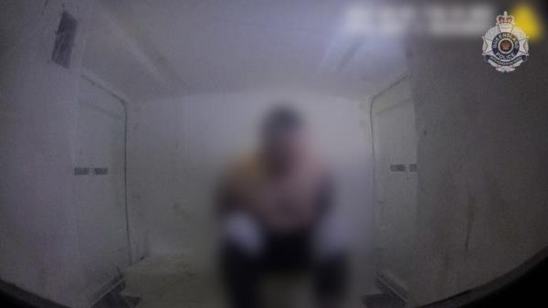 QPS dedicated to combatting DV within OMCGs