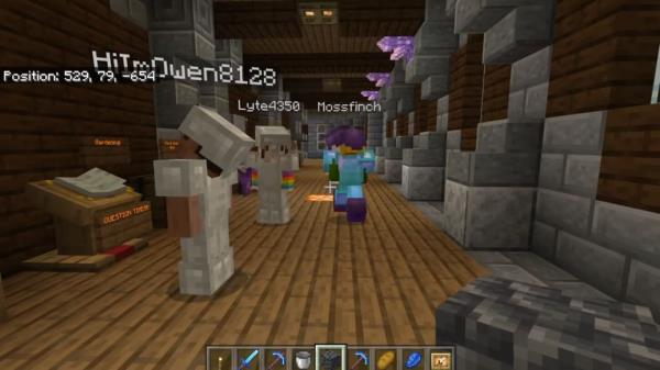 A screenshot of a Minecraft session