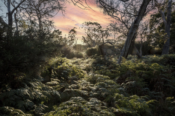 The Briars was selected as the venue for the Warner Bros. event following a natio<em></em>nwide search.